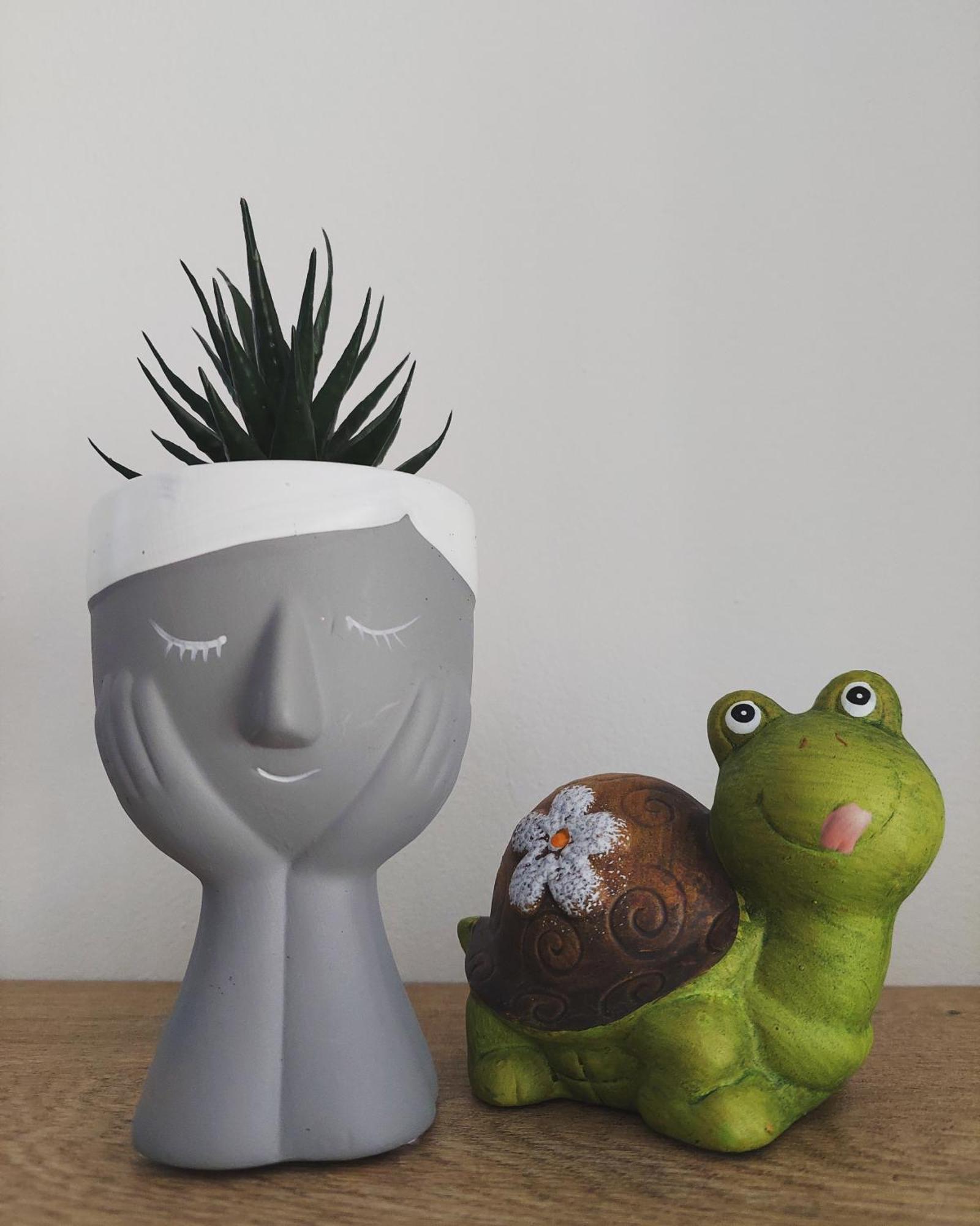 Gex Apartments ティラナ エクステリア 写真